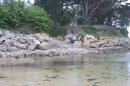 Entre Lostrouc'h et Reun